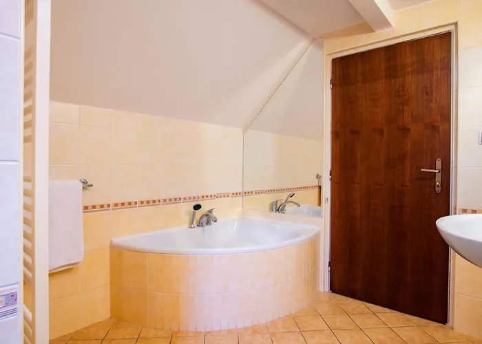 ホテル Wellness Gondola プルゼニ