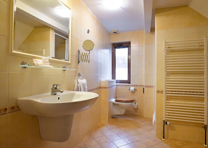 Wellness Gondola 酒店 4*